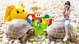 Кормим черепах | Мама для Лаки | Видео для детей и игры для девочек