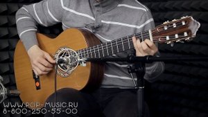 Гитара классическая STRUNAL 978-4/4