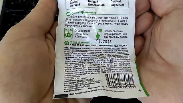 Эустома! Прошла неделя с момента пикировки | Снижаем температуру используя искусственное освещение смотреть онлайн