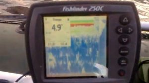 Термоклин на эхолоте