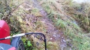 Обзор мопеда зид пилот с лифановским двигателем