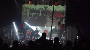 Тараканы - Кто они