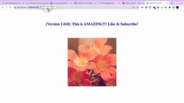 Full Node.js Deployment to AWS - FREE SSL, NGINX | Node js HTTPS Server смотреть онлайн