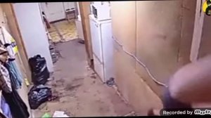 странная лестница с которой все падают