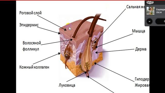 15 минут длЯ себя Уход за волосами смотреть онлайн