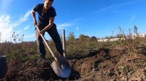 Посадил осенью фруктовые саженцы на участке???# Черешня#Персик#Нектарин #Яблоко#Краснодарский край