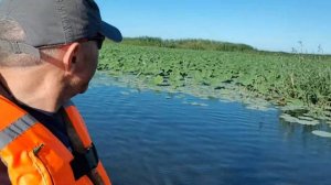 Астраханская область, село Вышка. Устье Волги.