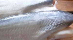 Полезные свойства пангасии. ПАНГАСИУС  .