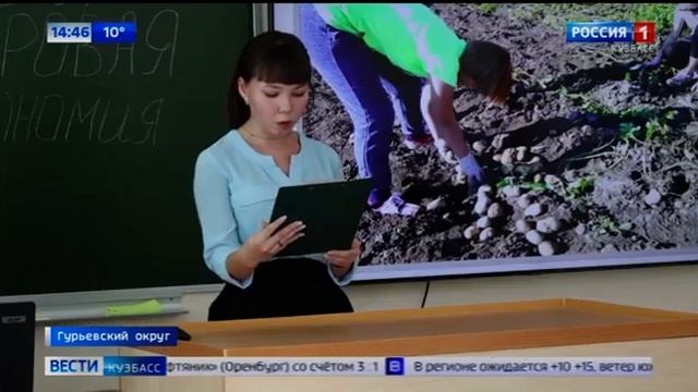 Кузбасские школьники собрали более 10-ти тонн картофеля в рамках проекта “Школы .mp4