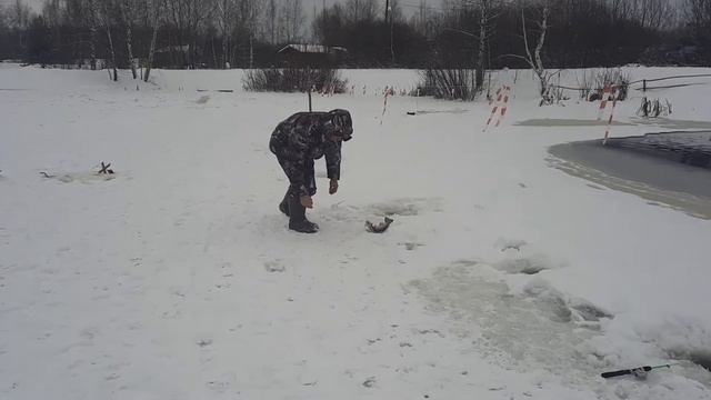 ЛОВЛЯ ФОРЕЛИ НА 1-ГА  РК