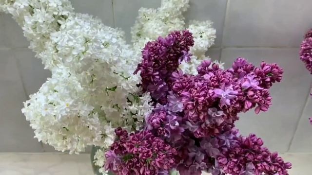 КАК СОХРАНИТЬ СВЕЖЕСТЬ СРЕЗАННОЙ СИРЕНИ /ПРЕКРАСНАЯ СИРЕНЬ /ПОДГОТОВКА ЦВЕТОВ /ШИКАРНЫЙ БУКЕТ смотреть онлайн