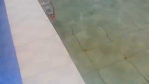 Радиоуправляемая модель-копия «Ракетный катер»