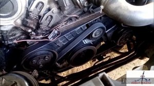 How To Replace A BMW 318i Serpentine Belt