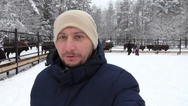 Наши путешествия. Заповедник «Брянский лес» смотреть онлайн