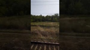 Глеб тв 2019 день 2 обзор купейного вагона поезда 497 ижевск адлер развлечение в поезде