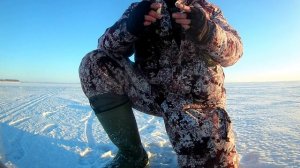 Камское Устье рыбалка на берша и судака . Блесна Адмирал. Зима 20-21 гг.