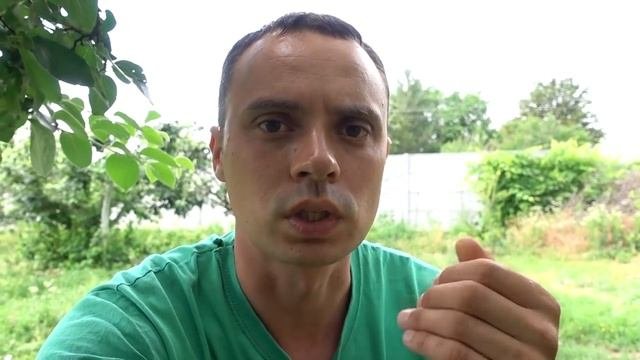НАТУРАЛЬНОЕ СРЕДСТВО ОТ ТЛИ, КОТОРОЕ РЕАЛЬНО РАБОТАЕТ! ОБРАБОТКА И РЕЗУЛЬТАТ ЧЕРЕЗ 24 ЧАСА!