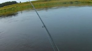 Ловля жереха на спиннинг, Верхняя Волга