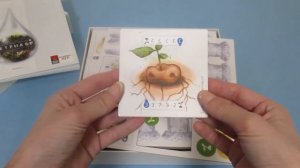 Петрикор: Распаковка настольной игры