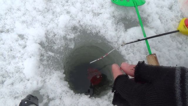 Закрываю сезон твердой воды 2018 2019 ! Рыбалка на реке Пехорка ! смотреть онлайн