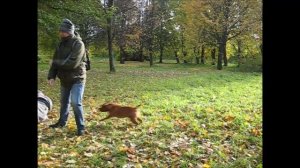 Будзинкан Санкт-Петербург Сибу Додзё, сихан Мирошкин Павел