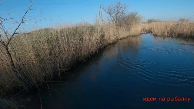 Щука одна за одной на кастинговую сеть смотреть онлайн