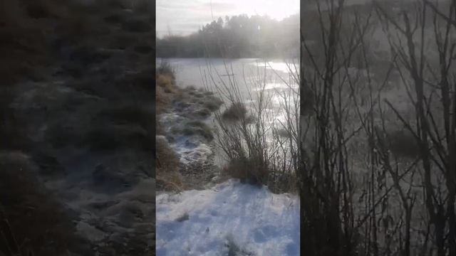 Проверка толщины первого льда в Петрово и Дзержинке. 29-30 октября 2023г. смотреть онлайн