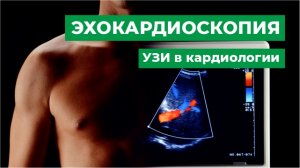 Эхокардиоскопия. УЗИ в кардиологии.