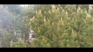 Рыбалка Пермский край. Залив в районе Полазны.