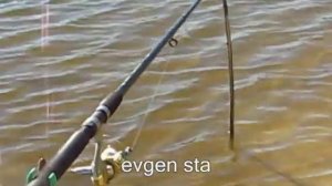 Ловля на опарыша.Как рыбачат бывалые