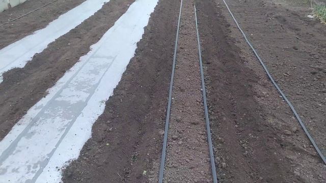 Мульча пленка как правильно стелить Своими руками ... смотреть онлайн