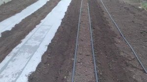 Мульча пленка как правильно стелить Своими руками ...