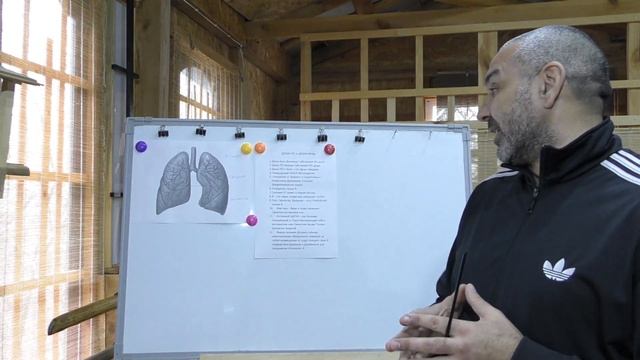 Души ПО. Четвертая лекция о ЦИ в Цигун.