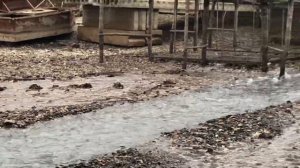 Рыбалка в темиргоевской