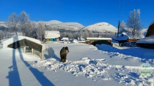 Баня. Теплица. Почистил теплицу. Сходил в баню. Хибины.