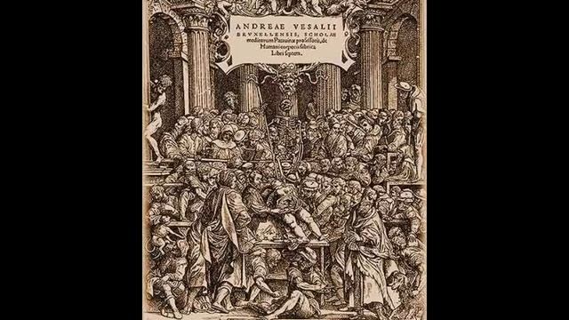 Наука Эпохи Возрождения (рус.) Новая история.