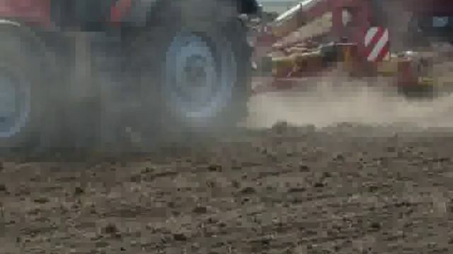 Возделывания рапса