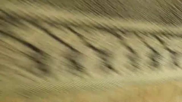 Кровати для дачи делаем сами смотреть онлайн