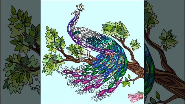 Самая красивая птица в мире. смотреть онлайн