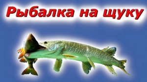 Рыбалка на щуку в любую погоду !