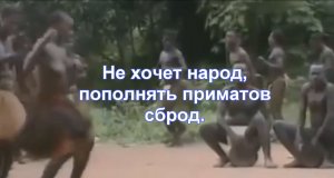 Не хочет народ пополнять приматов сброд.mp4
