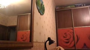 Как, стать русалкой по настоящему?