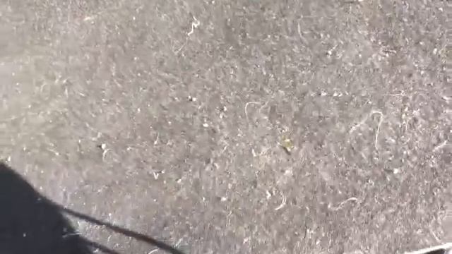 Toyota Spacio NZE121-3135322 смотреть онлайн