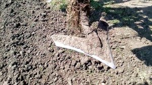 Самодельный культиватор 8.5 метра. Лапы аналог Wil-rich