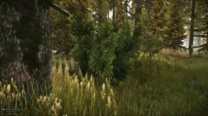 СЕКТА ЧАСТЬ 2 | Квест миротворца | Escape from Tarkov