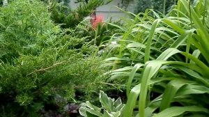 Ландшафтный дизайн 6 ...