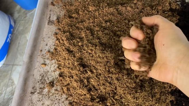 2 марта 2023г. ЭУСТОМА 3 мес смотреть онлайн