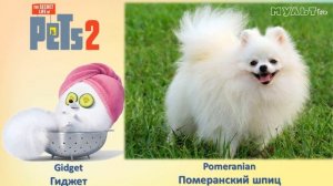 Тайная Жизнь Домашних Животных 2 В Реальной Жизни - The Secret Life Of Pets 2 In Real Life