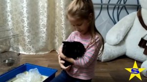 ДОМАШНИЙ КРОЛИК. ПИТОМЦЫ. ДОМАШНИЕ ЖИВОТНЫЕ