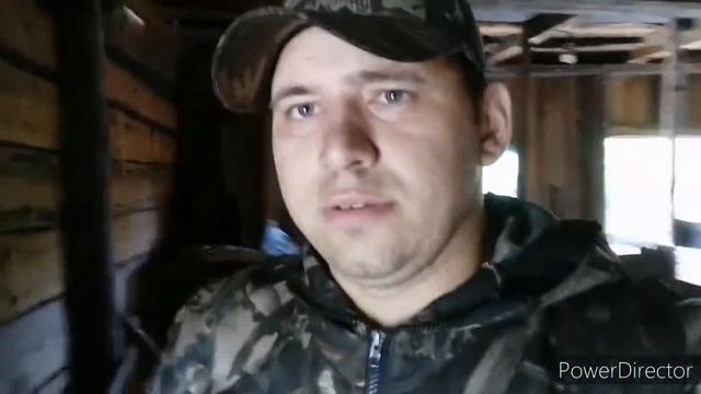 #87. Вес большого быка в год ??
